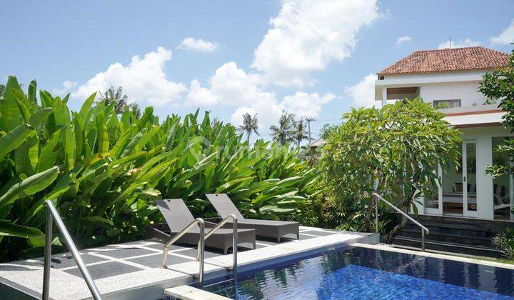 Luxury Villa Canggu Bali With Ricefield View Spacious Garden Fully Furnished 2