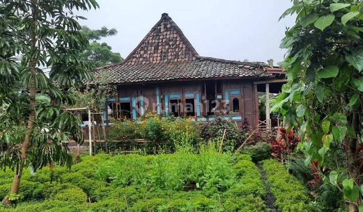 Villa Asri, Rumah Kayu Di Batungsel Pupuan Tabanan Bali 2