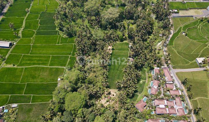 Tegallalang Ubud Land View Rice Fields Only 15 Minutes To Ubud Center 1