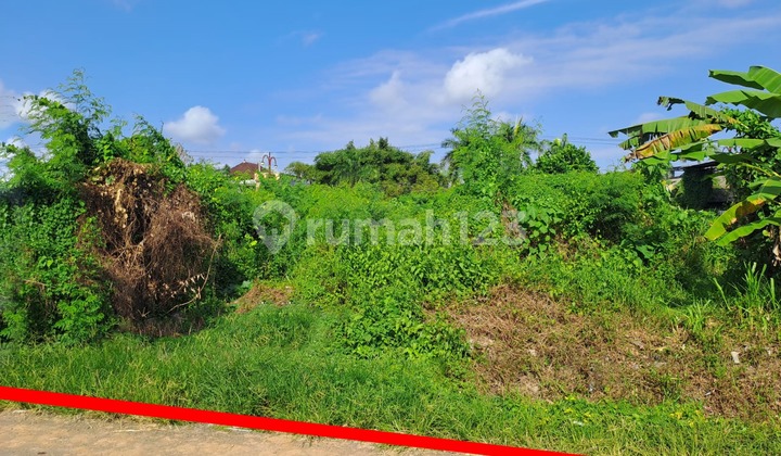 For Quick Lease Premium Land 24.25 Are on Jl. Dharma Giri, Gianyar. For Quick Lease Premium Land 24.25 Are on Jl. Dharma Giri, Gianyar.