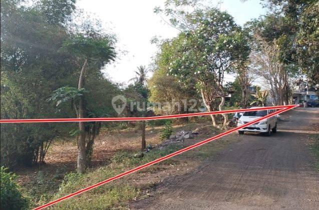 Land for sale on Jl. Saba, Blahbatuh, Gianyar 2