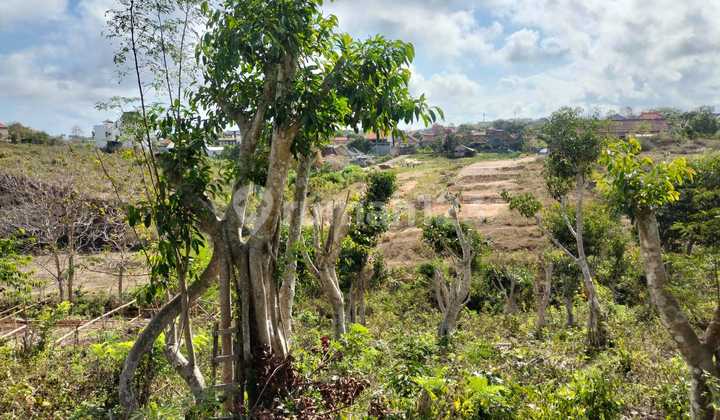 Land for Sale on Jalan Langui Kauh, Ungasan