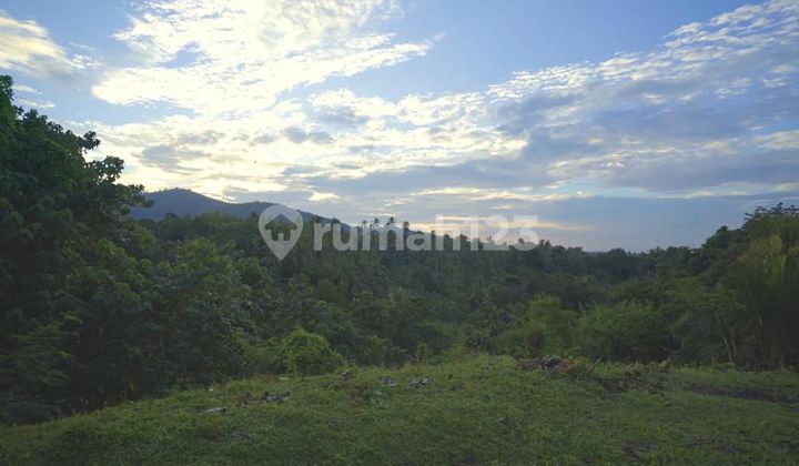 Dijual Tanah View Sungai di Desa Pengeragoan, Pekutatan, Jembrana 