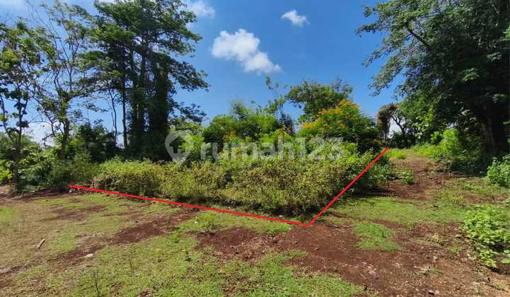 Dijual Tanah Kavling Lokasi Sepi dan Tenang di Kampial, Nusa Dua.