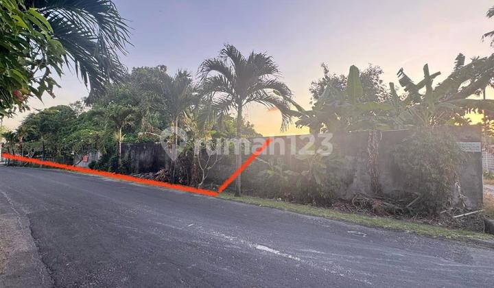 Tanah Jual di Jalan Utama Area Canggu 