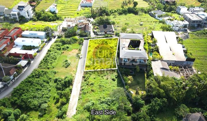 Super SaLe dan Langka Tanah Jual Di Pererenan Canggu