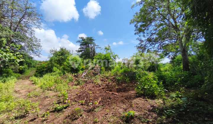 Dijual Tanah Kavling Lokasi Sepi dan Tenang di Kampial, Nusa Dua.