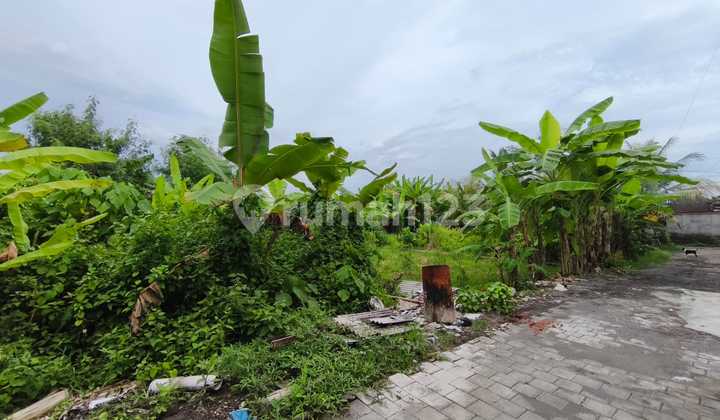 Dijual Tanah Kavling Lokasi Tenang View Sawah di Jl. Siyut, Tulikup, Gianyar.