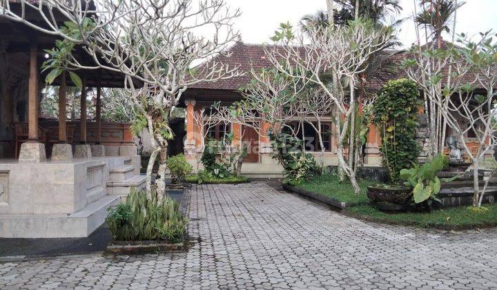 For rent: 1-storey house with rice field view in Tampaksiring, Gianyar. 1