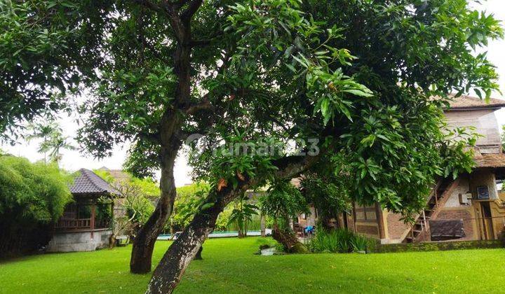 For Sale Cheap Land + Building With Swimming Pool in Seminyak. 1