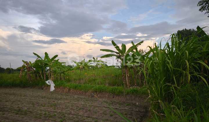 Dijual Tanah Kavling di Ketewel, Sukawati, Gianyar  2