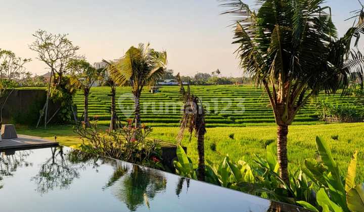 Dijual Villa Modern View Spektakuler Laut, Sawah, dan Gunung di Cemagi, Mengwi-Badung. Dijual Villa Modern View Spektakuler Laut, Sawah, dan Gunung di Cemagi, Mengwi-Badung.