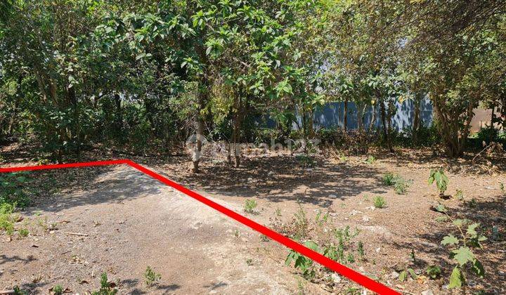 Dijual Tanah Lokasi Strategis di Jl Bidadari Seminyak 1