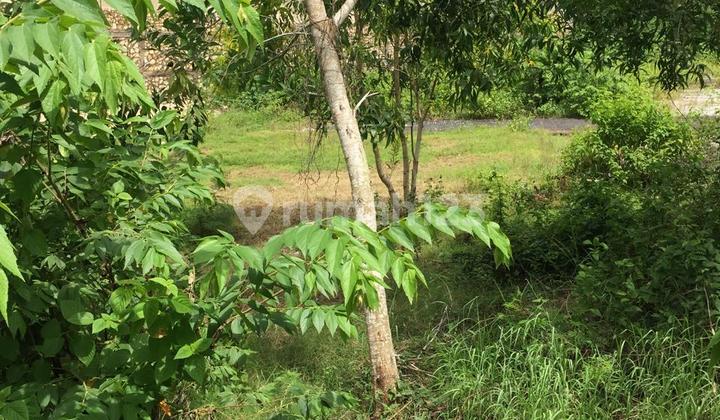 For Sale Strategic Land Location on Jl. Kakap Merah - Kutuh.