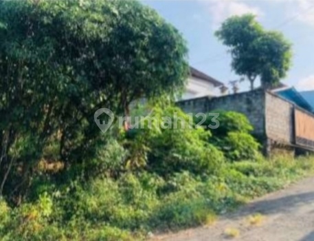 Cheap Ready-to-Build Land Plots in Delodpeken, Tabanan Bali