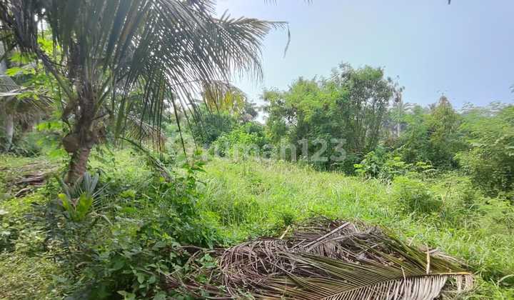 Tanah Luas Lokasi Strategis Hanya 1 Menit Dari Pantai Saba, View Sawah & Sungai Cocok Untuk Bangun Villa