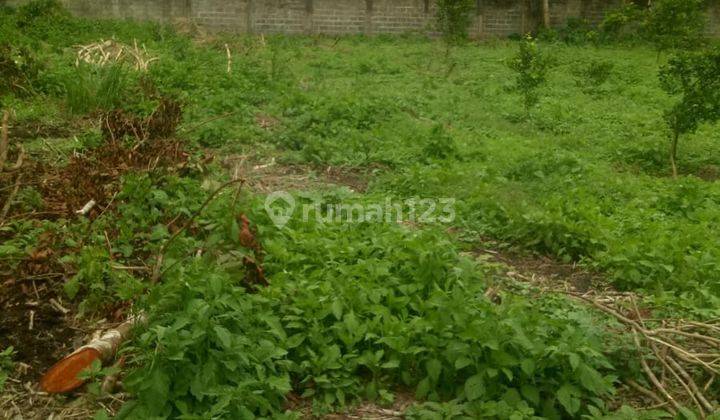 Tanah Luas ada Kebun Jeruk dan Kandang Sapi Di Wajak, Cocok Untuk Investasi

Luas Tanah 23.310m²
Pagar Tembok Keliling
Air Sumur
Akses Jalan Aspal
Lokasi Tanah 1km dari Pasar Wajak
Status Letter C

Cocok Untuk Usaha Dan Investasi 

Harga Penawaran 6,5Mill 3