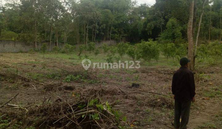 Tanah Luas ada Kebun Jeruk dan Kandang Sapi Di Wajak, Cocok Untuk Investasi

Luas Tanah 23.310m²
Pagar Tembok Keliling
Air Sumur
Akses Jalan Aspal
Lokasi Tanah 1km dari Pasar Wajak
Status Letter C

Cocok Untuk Usaha Dan Investasi 

Harga Penawaran 6,5Mill 6