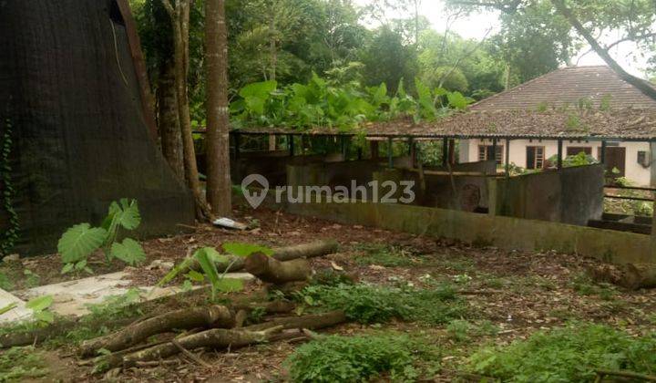 Tanah Luas ada Kebun Jeruk dan Kandang Sapi Di Wajak, Cocok Untuk Investasi

Luas Tanah 23.310m²
Pagar Tembok Keliling
Air Sumur
Akses Jalan Aspal
Lokasi Tanah 1km dari Pasar Wajak
Status Letter C

Cocok Untuk Usaha Dan Investasi 

Harga Penawaran 6,5Mill 8