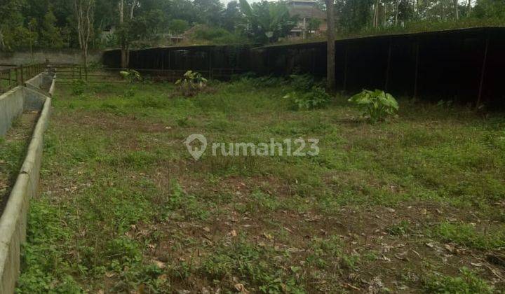 Tanah Luas ada Kebun Jeruk dan Kandang Sapi Di Wajak, Cocok Untuk Investasi

Luas Tanah 23.310m²
Pagar Tembok Keliling
Air Sumur
Akses Jalan Aspal
Lokasi Tanah 1km dari Pasar Wajak
Status Letter C

Cocok Untuk Usaha Dan Investasi 

Harga Penawaran 6,5Mill 9
