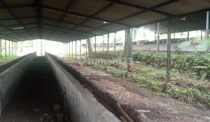 Tanah Luas ada Kebun Jeruk dan Kandang Sapi Di Wajak, Cocok Untuk Investasi

Luas Tanah 23.310m²
Pagar Tembok Keliling
Air Sumur
Akses Jalan Aspal
Lokasi Tanah 1km dari Pasar Wajak
Status Letter C

Cocok Untuk Usaha Dan Investasi 

Harga Penawaran 6,5Mill 10