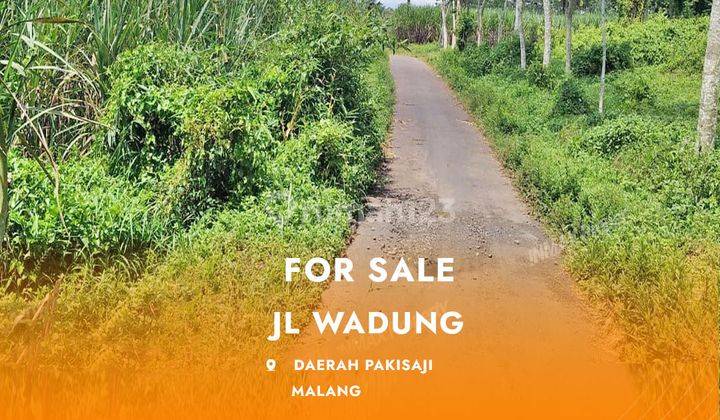 Tanah Murah Dan Murah Di Jl. Wadung Pakisaji, Cocok Untuk Perumahan Dan Pergudangan 


Lokasi Strategis:


Dekat Pabrik Gula Kebon Agung

Dekat Wisata Alam Lembah Indah 

Dekat Wisata Alam Gunung Kawi


Spesifikasi:


Luas: 17.530m2

Status: SHM


Harga : 1