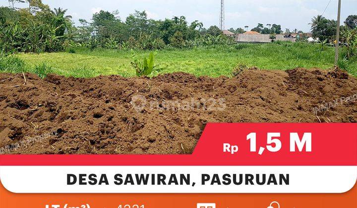 Tanah MurahLuas Di Desa Sawiran Pasuruan, Cocok Untuk Usaha+Investasi 

Lokasi Strategis : 

- Jalur Alternatif Ke Bromo

- Cocok Untuk Usaha Dan Investasi 

- Lingkungan Aman 


Spesifikasi : 

Luas Tanah : 4331m

Hadap : Timur 

Air : Sumur 

Status : S 2