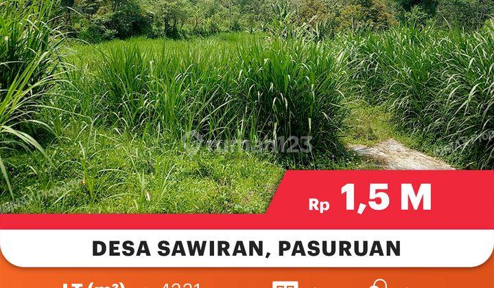 Tanah MurahLuas Di Desa Sawiran Pasuruan, Cocok Untuk Usaha+Investasi 

Lokasi Strategis : 

- Jalur Alternatif Ke Bromo

- Cocok Untuk Usaha Dan Investasi 

- Lingkungan Aman 


Spesifikasi : 

Luas Tanah : 4331m

Hadap : Timur 

Air : Sumur 

Status : S 3