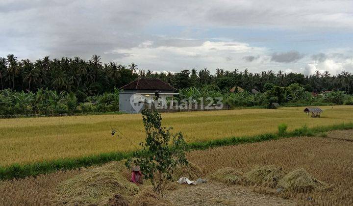 Di Jual Murah Bungalow Tengah Sawah Lumbung Subagan Karangasem BALI

Benefit :

View Sawah

View Pantai

View Gunung Agung

Lokasi Strategis :

- 5 Menit Ke Surfing Beach

- 10 Menit Ke Amplapura

- 10 Menit Ke Taman Ujung

- 15 Menit Ke Candidasa

- 15 M 7