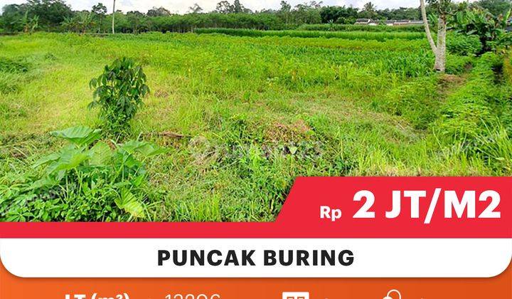 Tanah Luas Di Buring Dekat Citra Garden City, Cocok Untuk Usaha+Invest

Lokasi Strategis :

Dekat Perumahan Citra Garden City

Dekat Pintu Tol Sawojajar

Dekat Bandara Abdurrahman Rahman Saleh

View Terbaik

Spesifikasi : 

Luas Tanah : 13.206m²

Hadap :  3