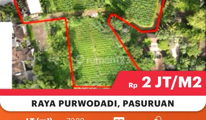 Di Jual Tanah Poros Jalan Raya Purwodadi Pasuruan,1km Dari Pintu Tol

Lokasi Strategis :

0 Jalan Raya Provinsi

1km Dari Pintu Tol Purwodadi

Sudah Ada Akses Masuk Truk Fuso

Spesifikasi : 

Luas Tanah : 7.382m²

Hadap : Timur

Harga 2Juta/m² Negotiable  2