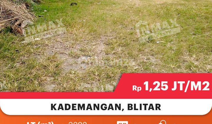 Tanah Luas Murah Sudah Ada IMB, Siap Untuk Usaha Di Kademangan Blitar 

Spesifikasi :

Luas Tanah : 3.282m

Dimensi : 35 x 90

IMB Ada

Status : SHM 

Harga 1,250Juta/m² Negotiable 4