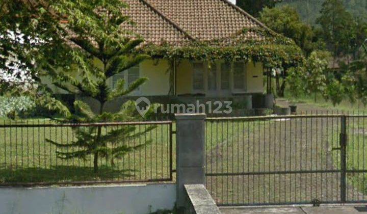 Rumah Vintage Bangunan Belanda Luas Tanah 3430m² Di Jl. Indragiri BATU 

Lokasi Strategis :

Dekat Balai Kota BATU

Dekat Alun Alun BATU

Dekat Wahana Wisata

Lingkungan Aman Dan Nyaman

Spesifikasi : 

Luas Tanah : 3430m²

Lebar Depan : 55Meter

Luas Ban 1