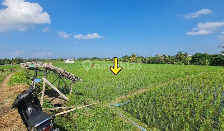 LAND BERABAN TANAH LOT NEAR THE BEACH 

Land area 1025 m2
1 car concrete road access
SHM / Ownership Rights

5 minutes to Tanah Lot 
10 minutes to Kedungu
20 minutes to Canggu

Price 450 million / are
 1