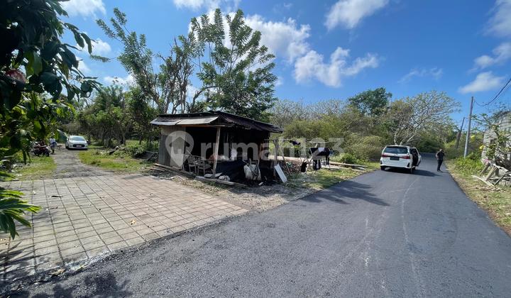 For Sale Quick Plot of Land Near Unud Campus Jimbaran Location: - Jl. Bingin Sari II, Jimbaran, South Kuta, Badung, BaliSpecifications: - Land Area 100 m2-216 m2- Flat Land- Ready to Build- Very Suitable for House/Villa- Road Access 5 Meterselling Points: - Area
