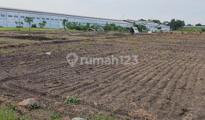 Di Jual Tanah Luas Zona Industri di Driyorejo Gresik