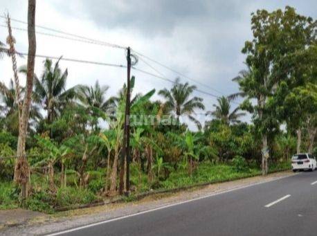 Strategis Di Jl. Antosari Pupuan, Selemadeg, Tabanan BALI 

Lokasi Strategis :

Akses Jalan Raya 8 Meter

Dekat Fasilitas Umum 

Lingkungan Aman

Spesifikasi : 

Luas Tanah : 7.275m²

Hadap : Timur 

SHM 

Harga 9,330 Milyar Nego 2