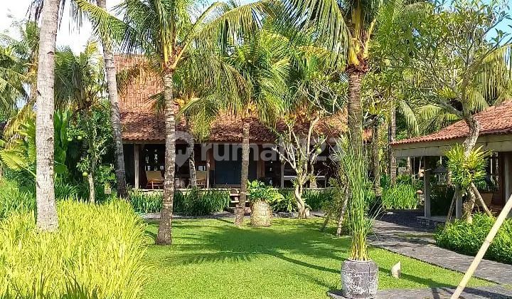 Villa View Sawah 270° – Freehold / Leasehold Di Nyanyi Dekat Nuanu • lt/lb : 1.960 M² / 600 M² • bangunan : 2 Cottage / Bedroom • view : Sawah 270° • air : Ground Water + Filter Otomatis Garam • kolam Renang : 16 X 4 M • listrik : 16,5 Kva • legalitas : I Villa View Sawah 270° – Freehold / Leasehold Di Nyanyi Dekat Nuanu • lt/lb : 1.960 M² / 600 M² • bangunan : 2 Cottage / Bedroom • view : Sawah 270° • air : Ground Water + Filter Otomatis Garam • kolam Renang : 16 X 4 M • listrik : 16,5 Kva • legalitas : I