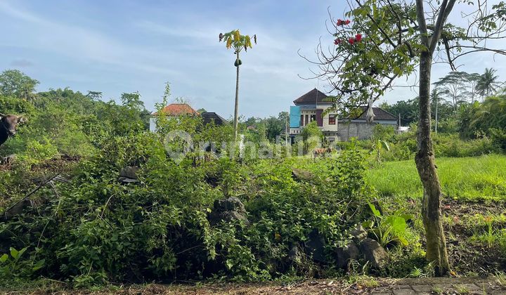 Land Ready to Build, Location at Jl Majapahit, Denbantas Village, Tabanan, Bali Land Ready to Build, Location at Jl Majapahit, Denbantas Village, Tabanan, Bali