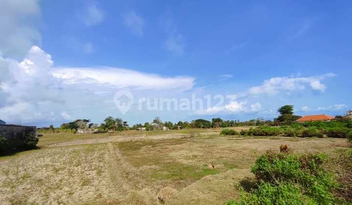 Di Jual 6 Unit Tanah Kavling View Laut Di Jl. Ib Mantra Desa Tulikup, Kec. Gianyar, Kab. Gianyar Bali Di Jual 6 Unit Tanah Kavling View Laut Di Jl. Ib Mantra Desa Tulikup, Kec. Gianyar, Kab. Gianyar Bali