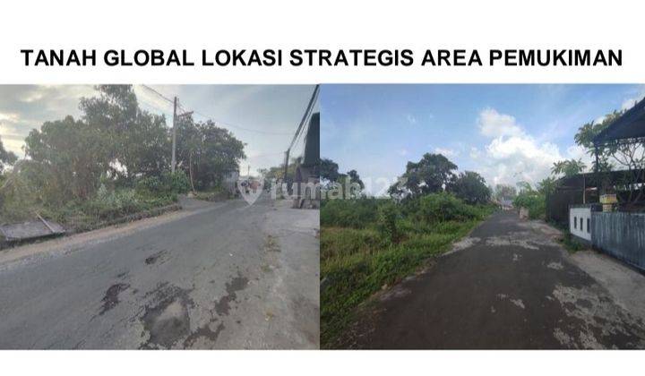 Large Land Suitable For Housing On Jl. Pulau Menjangan, Banyuning, Buleleng 

Strategic Location: 

6 Meter Asphalt Road Access

Flood Free 

Safe Environment 

3 Minutes From Singaraja 

Specifications: 

Land Area: 3300m²

Dimensions: 33 x 89

SHM 

 1