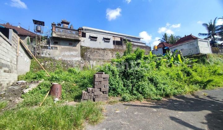 Di Jual Cepat Dan Murah Tanah Kosong Siap Bangun Di Jl. Kamboja, Desa Werdibhuwana, Kecamatan Mengwi, Badung Bali Di Jual Cepat Dan Murah Tanah Kosong Siap Bangun Di Jl. Kamboja, Desa Werdibhuwana, Kecamatan Mengwi, Badung Bali