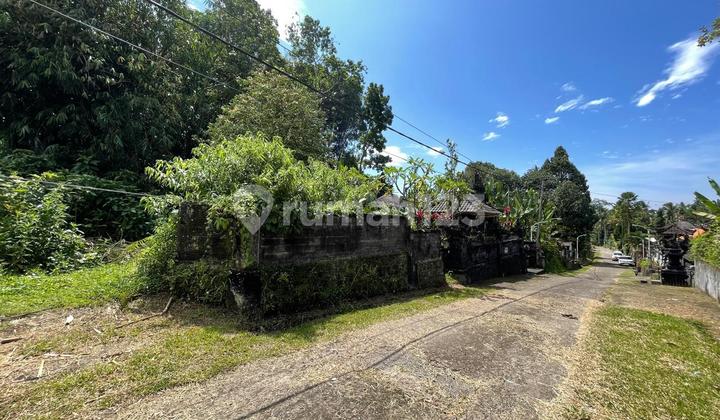 Tanah Murah Di Kawasan Perkebunan Dan Perumahan Cocok Untuk Investasitanah Kosong Cocok Untuk Investasiterletak Di Jl Munduk Paku, Desa Senganan, Kec. Penebel,kab. Tabanan, Prov. Bali.luas 2700 M²hadap Barat Akses Jalan 4 Meter Legalitasshmkawasan Perkebu