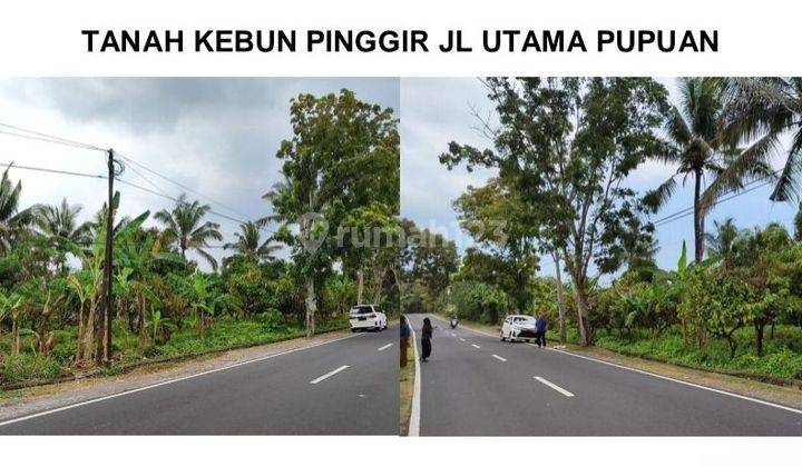 Strategis Di Jl. Antosari Pupuan, Selemadeg, Tabanan BALI 

Lokasi Strategis :

Akses Jalan Raya 8 Meter

Dekat Fasilitas Umum 

Lingkungan Aman

Spesifikasi : 

Luas Tanah : 7.275m²

Hadap : Timur 

SHM 

Harga 9,330 Milyar Nego 1