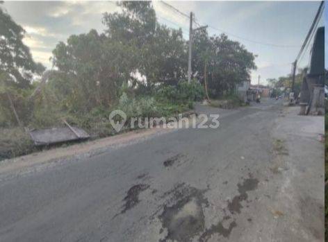 Large Land Suitable For Housing On Jl. Pulau Menjangan, Banyuning, Buleleng 

Strategic Location: 

6 Meter Asphalt Road Access

Flood Free 

Safe Environment 

3 Minutes From Singaraja 

Specifications: 

Land Area: 3300m²

Dimensions: 33 x 89

SHM 

 2