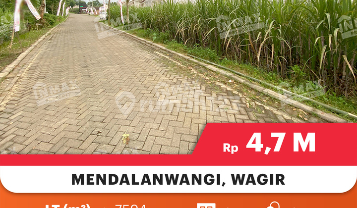 Cheap + Large Land in Mendalawangi Village, Wagir, Suitable for Business and Investment. Cheap + Large Land in Mendalawangi Village, Wagir, Suitable for Business and Investment.