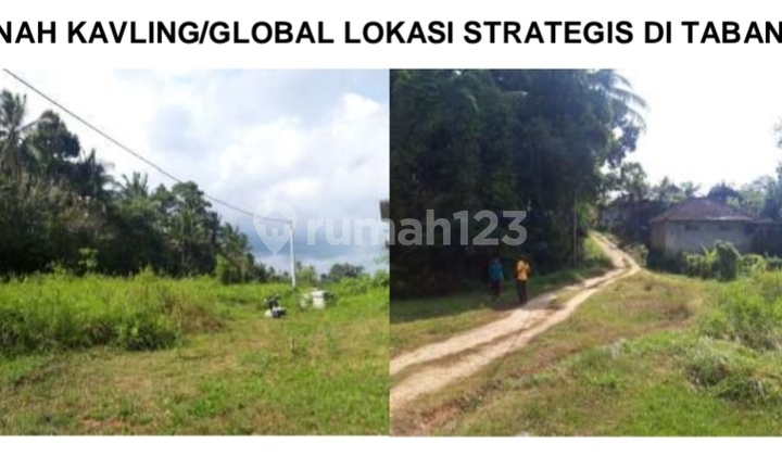 Large Land Suitable for Housing, Strategic Location on Jl. Wisnu Marga, Marga Tabanan Bali Large Land Suitable for Housing, Strategic Location on Jl. Wisnu Marga, Marga Tabanan Bali