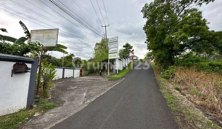 For Sale: Large, Affordable Land in Villa Area Near Lovina Beach, Buleleng For Sale: Large, Affordable Land in Villa Area Near Lovina Beach, Buleleng