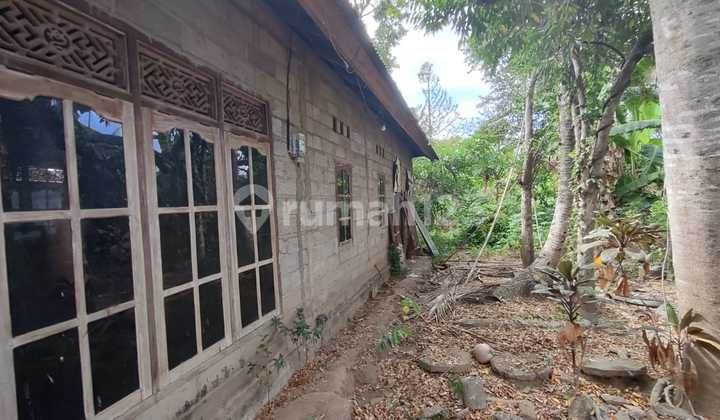 Rumah Murah Semi Finishing Di Area Panji, Sukasada - Buleleng Bali  2