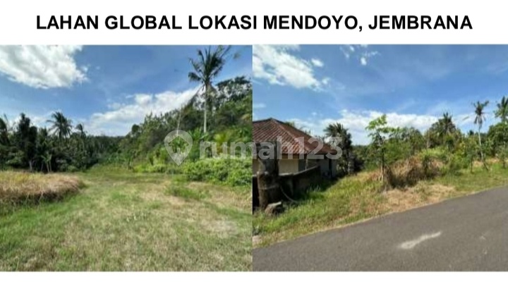 Tanah Murah + Luas Di Mendoyo Dauh Tukad - Jembrana, Cocok Untuk Perkebunan & Investasi Jangka Panjang